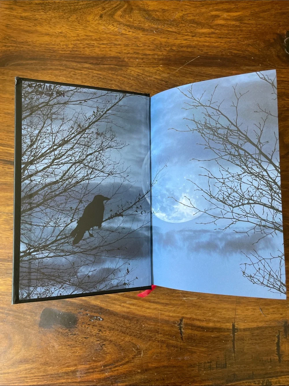 Edgar Allan Poe Black Hardcover Embossed Book Complete Tales & Poems Raven